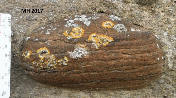 red sandstone with lichen