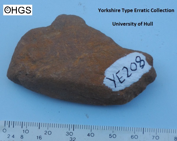 Yorkshire Type Erratic Collection; University of Hull