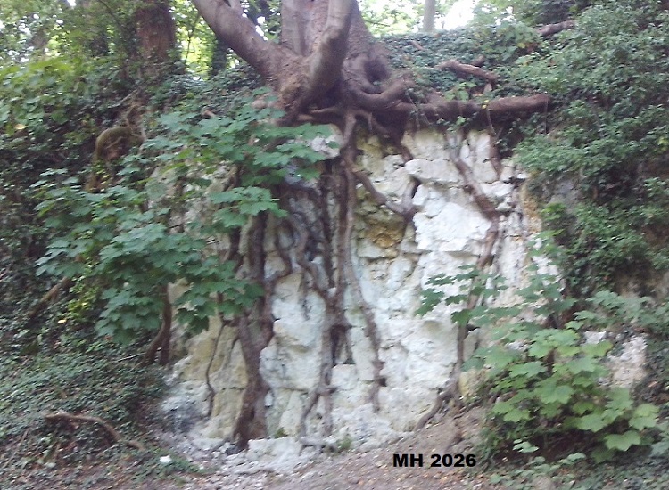 Humber Bridge Country Park