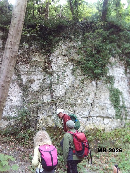 Welton Chalk Formation