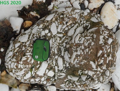 calcrete boulder at Flamborough beach