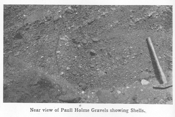 Paull Holme Gravels
