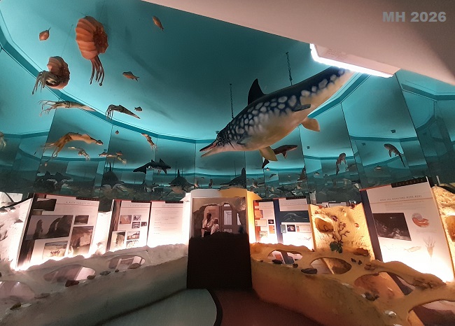 Hull Museum Geology
