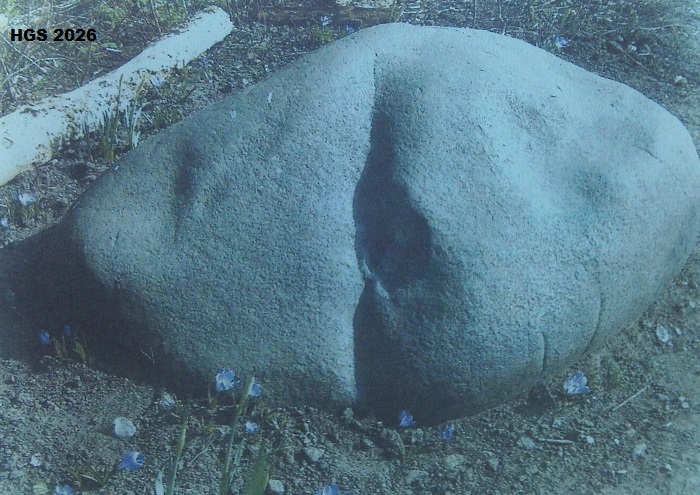 Hornsea Erratic