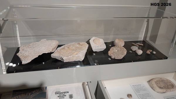 Treasure House fossils